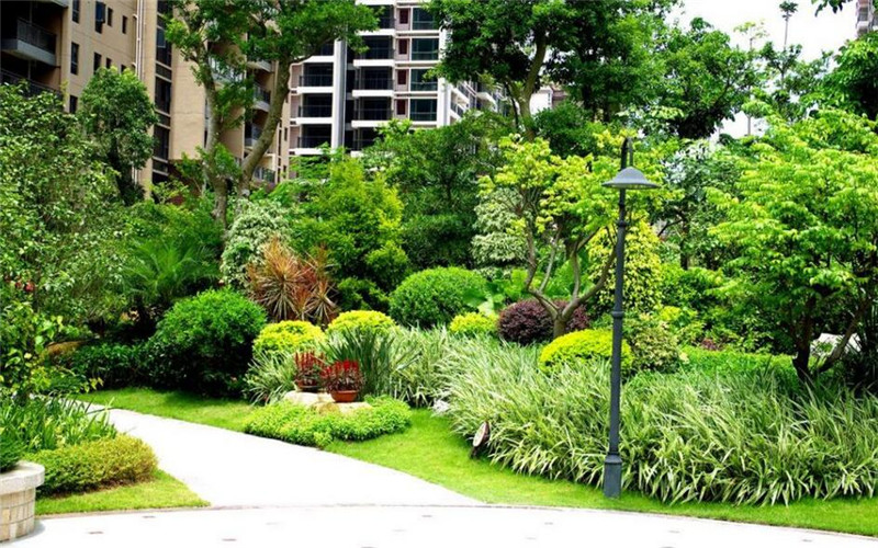 貴陽推進立體空間綠化二期工程 打造空中綠廊與特色景觀