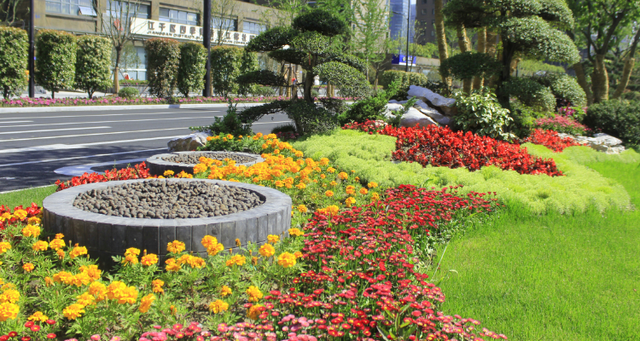 想要做好市政綠化工程，謹記這5點不會錯！