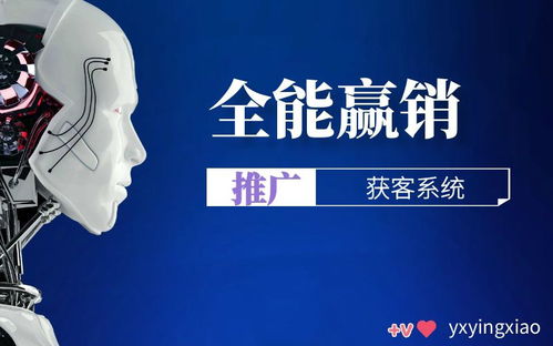 服務專業的自媒體營銷精準拓客哪家強,自動發布系統哪家好