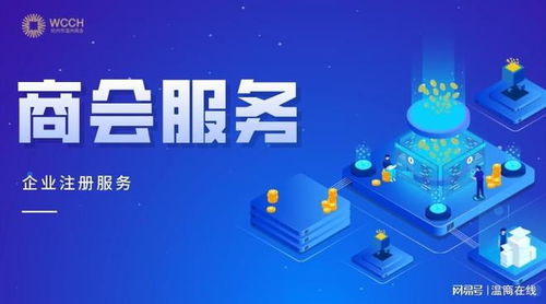 商會服務 杭州市溫州商會企業注冊服務進行中 歡迎咨詢
