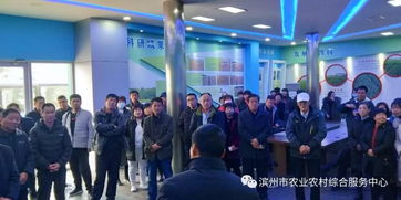 開展跟蹤服務,提升創業能力