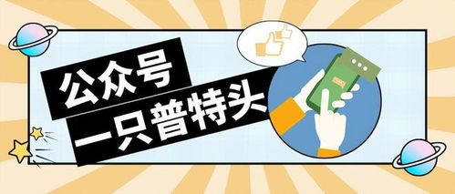 零申報被罰338萬 2024年企業(yè)零申報標(biāo)準(zhǔn),大改