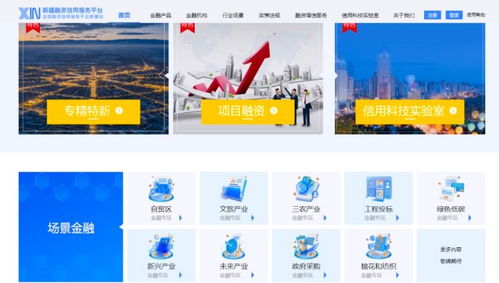 新疆融資信用服務(wù)平臺(tái)正式上線運(yùn)行